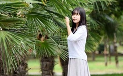 内衣办公室快播